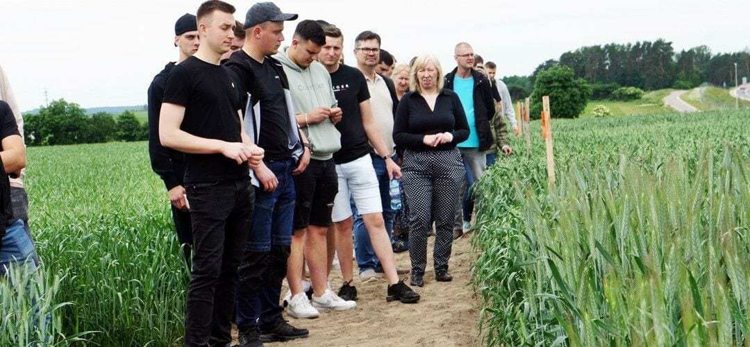 Grupa uczestników zajęć stojąca na ścieżce między poletkami zbóż.