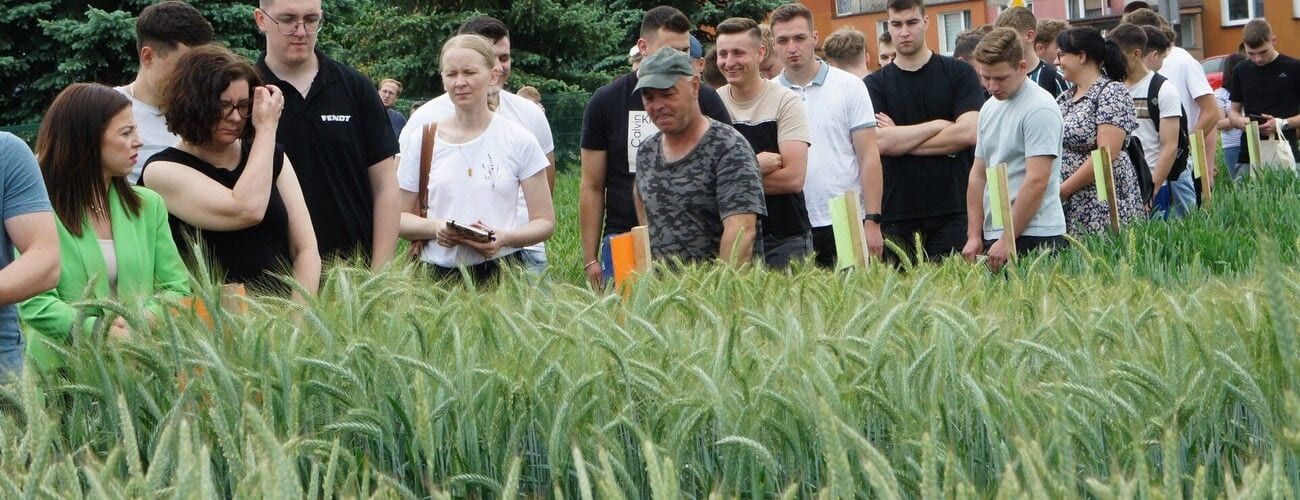 Studenci i prowadzący oglądający zboża na poletkach podczas Dni Pola.