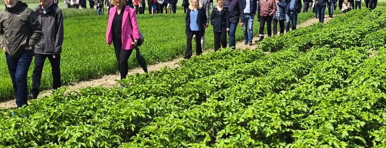 Uczestnicy wydarzenia rolniczego stojący wzdłuż poletek z roślinami uprawnymi.