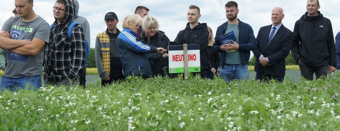 Grupa przy poletku doświadczalnym oglądająca kwitnące rośliny.