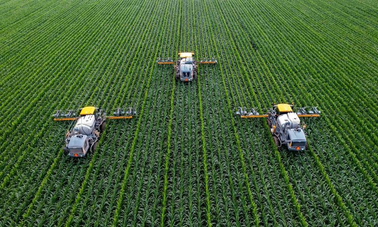 Three agricultural sprayers uniformly apply treatment across a vibrant green crop field.